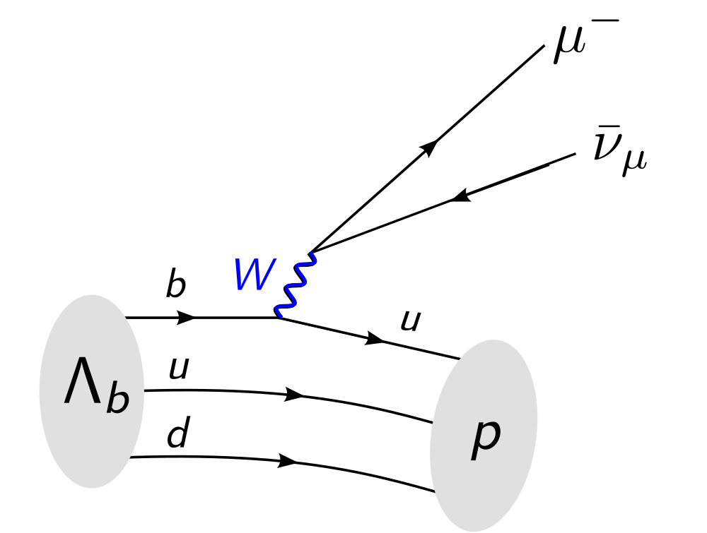 Lambda_b to proton muon neutrino decay