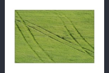 Landscape 3
