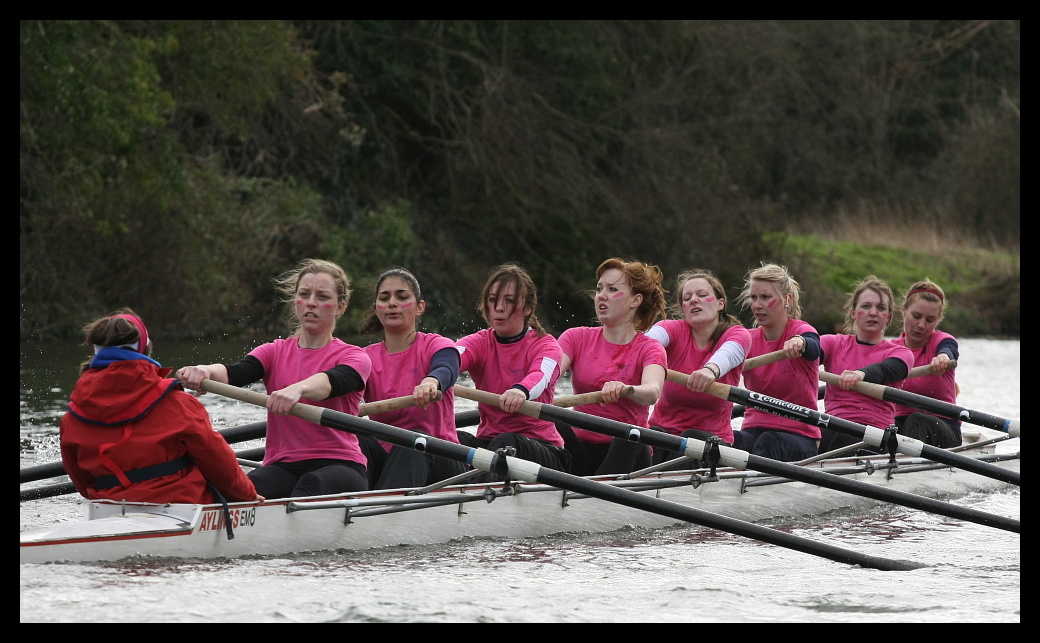 Lent Bumps Cambridge 2008 18
