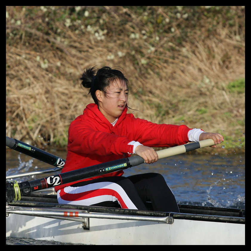 Lent Bumps Cambridge 2008 3