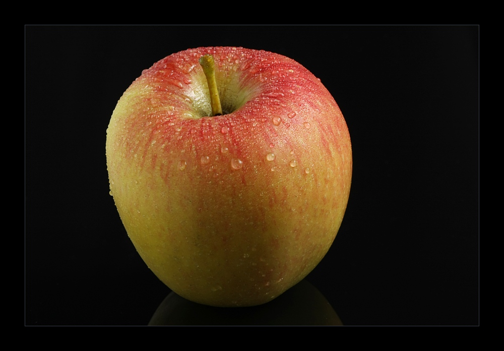 Still Life 3