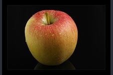 Still Life 3
