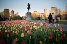 Boston 14