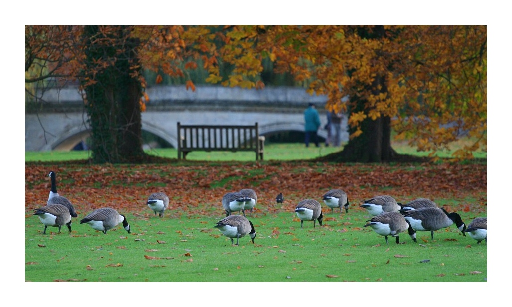 Cambridge 2