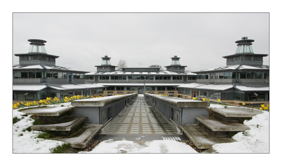 CMS, Cambridge 11