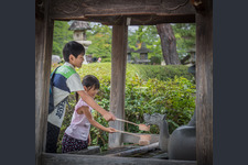 Hōryū-ji 5