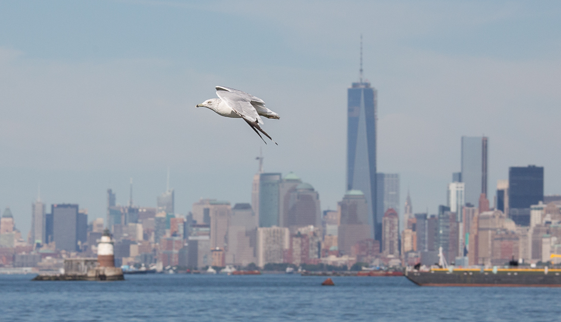New York City 32