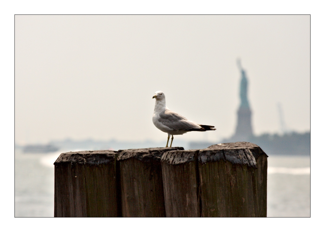 New York City 4