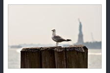 New York City 4