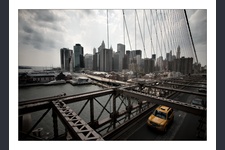 New York City 8
