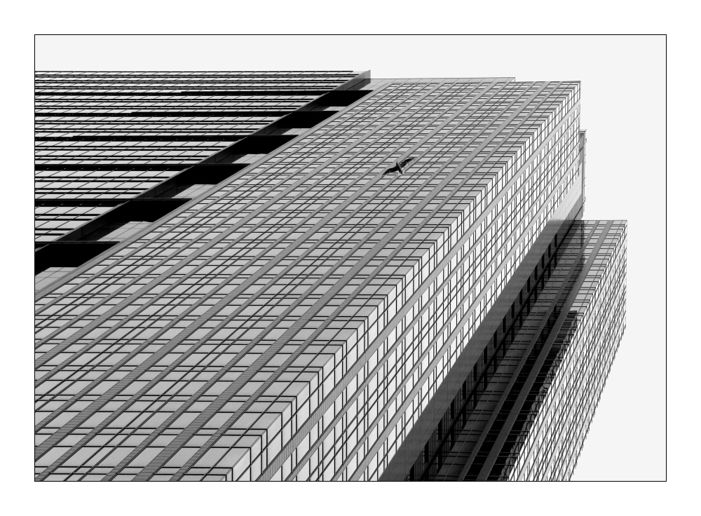 Seattle 9